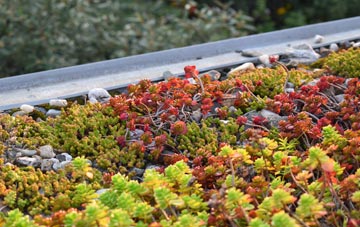 the cost of Jumpers Common green roof installation