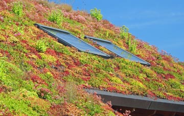 Jumpers Common living roof systems