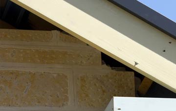 soffit repair Jumpers Common