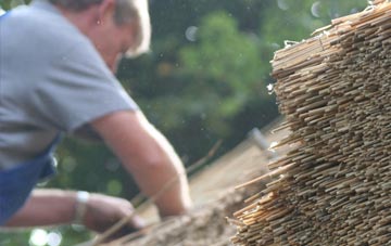 professional Jumpers Common thatchers